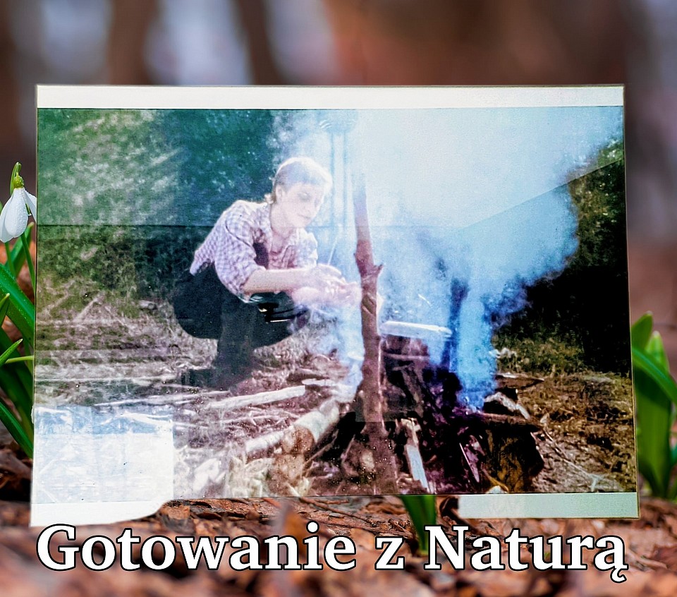 Kody Leinardo da Vinci Źródła Nowej Sztuki Architektury